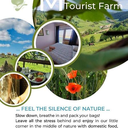 Masnec Tourist Farm Villa Miljana ภายนอก รูปภาพ